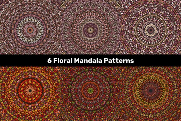 Download 6 Multicolored Floral Mandala Patterns - Floral mandala Collection